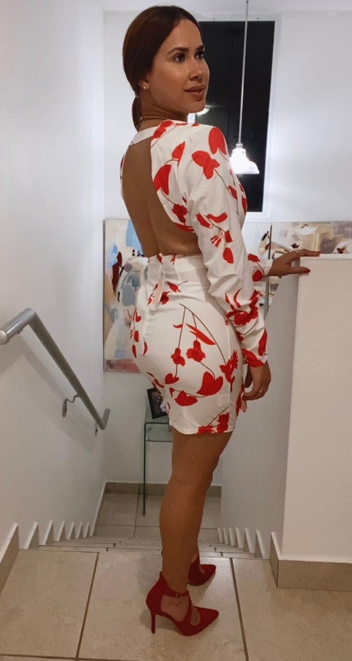 V NECKLINE LONG SLEEVE DRESS